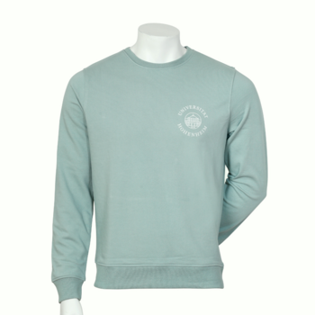 Salbei-farbendes Sweatshirt mit Bio-Baumwolle