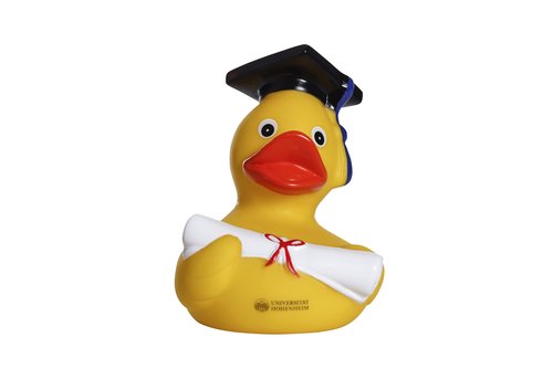 Rubber duck graduate of Uni Hohenheim